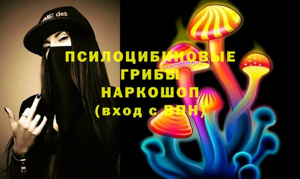 гидропоника Кодинск