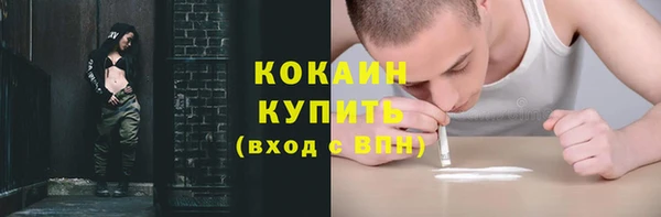 соль ск Козельск
