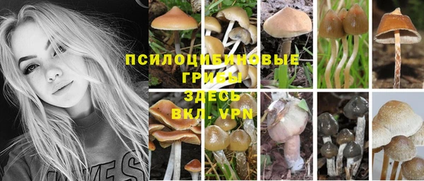 соль ск Козельск