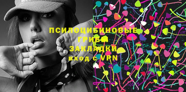 соль ск Козельск