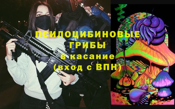 соль ск Козельск