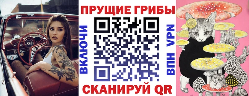 Псилоцибиновые грибы Psilocybe Купить Лакинск